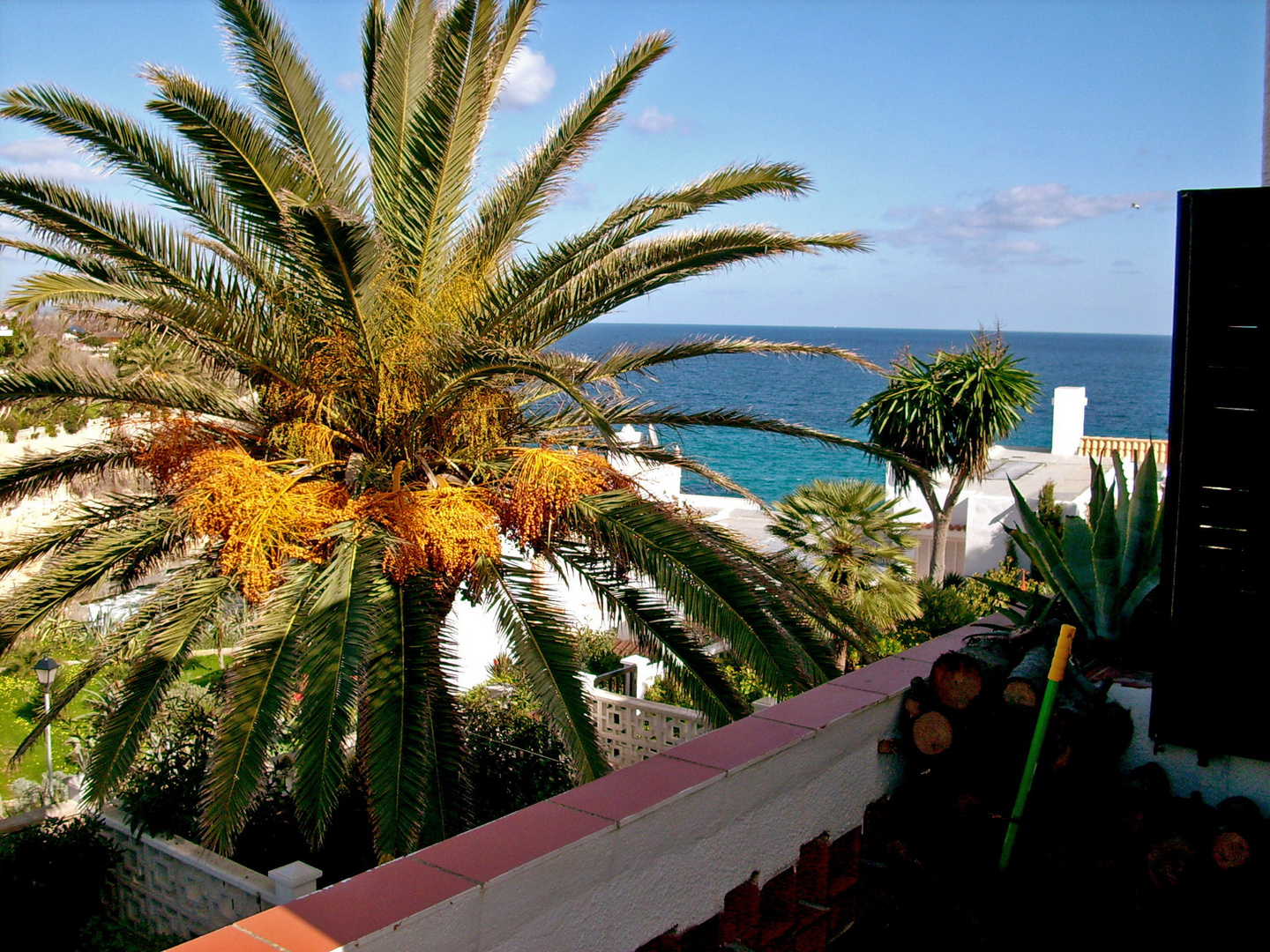 Blick vom Balkon