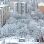 Blick vom Balkon