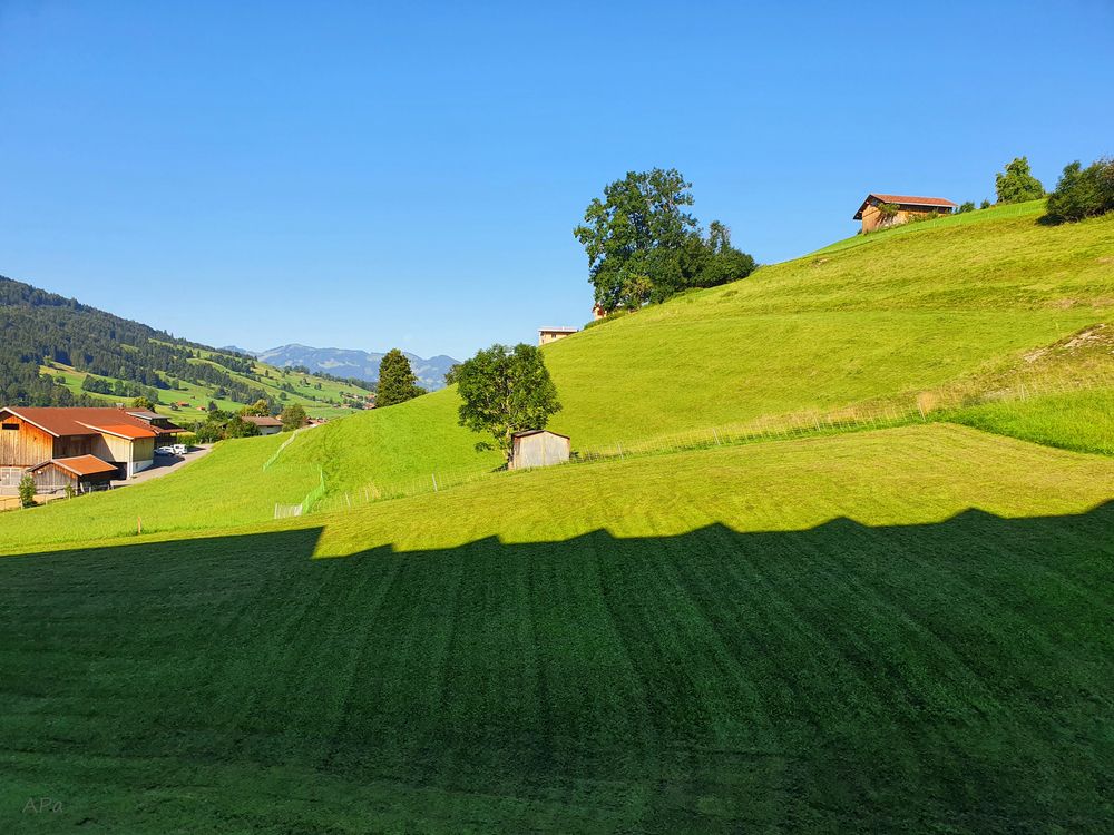 Blick vom Balkon...