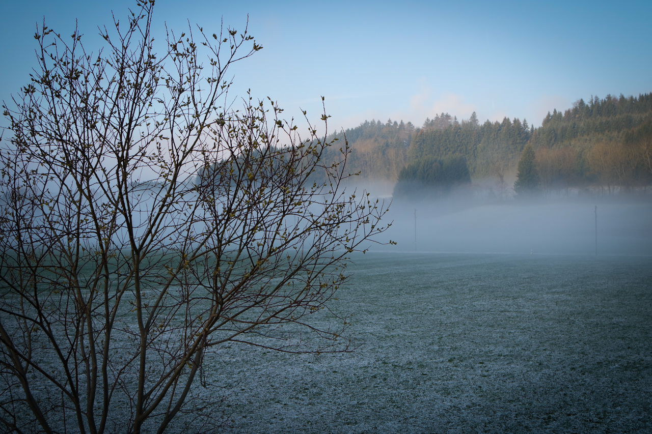 Blick vom Balkon