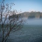 Blick vom Balkon