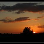 Blick vom Balkon II