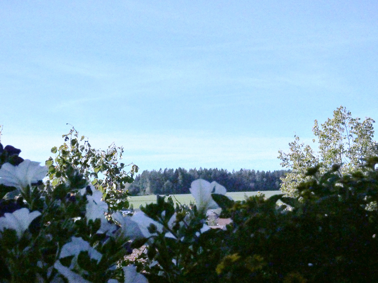 Blick vom Balkon in den schönen Herbsttag