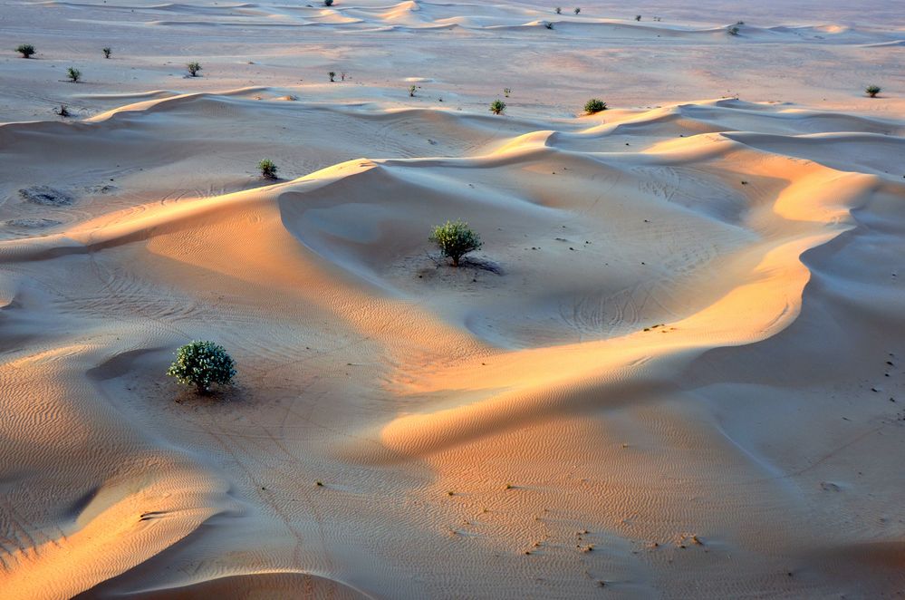 Blick vom Ballon auf die Wüste von Dubai