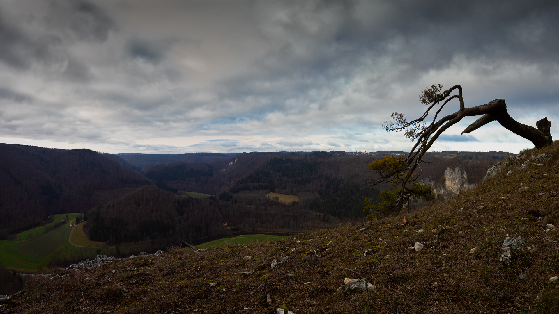 Blick vom Bandfels - Donautal