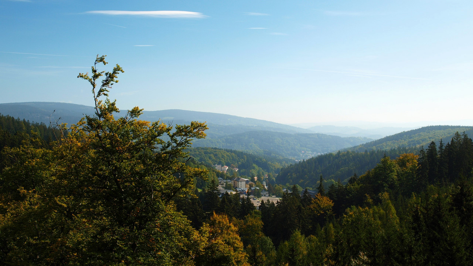 Blick vom Baumwipfelpfad -