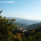 Blick vom Baumwipfelpfad -