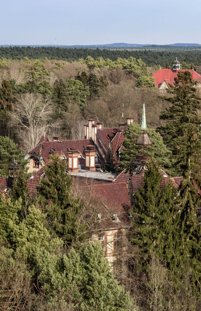 Blick vom Baumwipfelpfad in Belitz