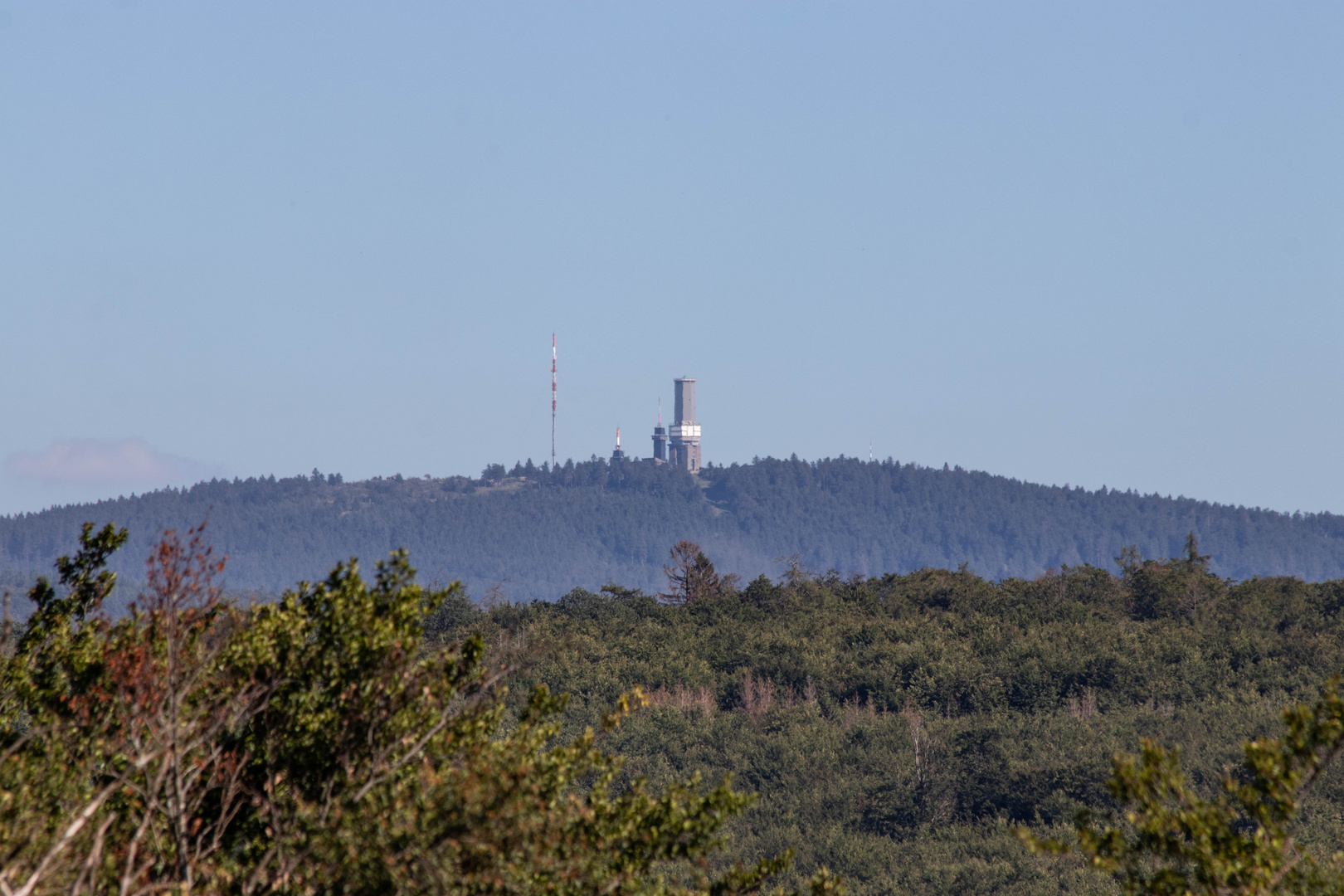 Blick vom Baumwipfelpfad zum Feldberg