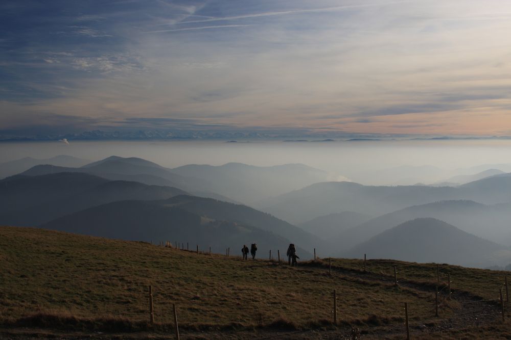 Blick vom Belchen 2