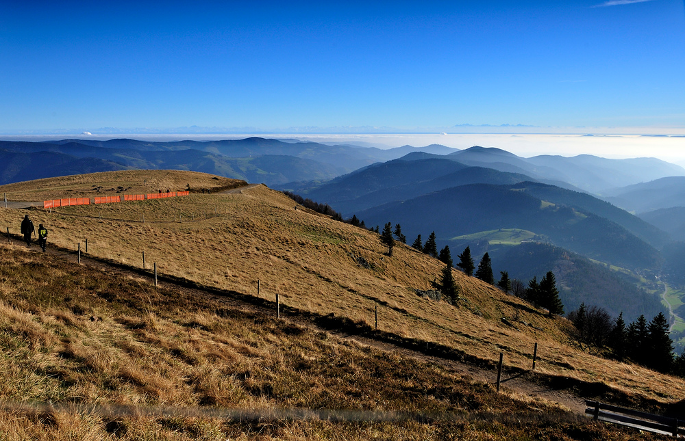 Blick vom Belchen - Fernsicht -