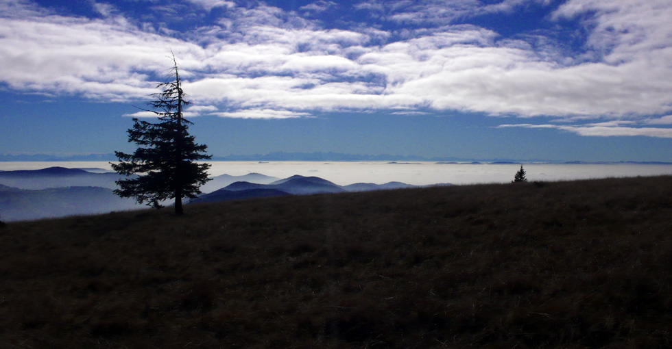 Blick vom Belchen nach Süden