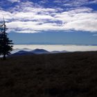 Blick vom Belchen nach Süden