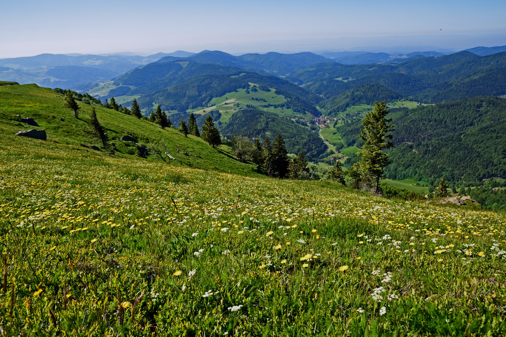 Blick vom Belchen (Schwarzwald)