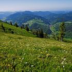 Blick vom Belchen (Schwarzwald)