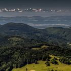 Blick vom Belchen über den Südschwarzwald zu den Schweizer Alpen