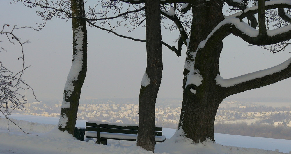 blick vom belvedere nach oberweimar