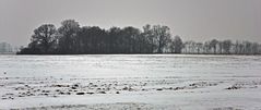 Blick vom Benther Berg