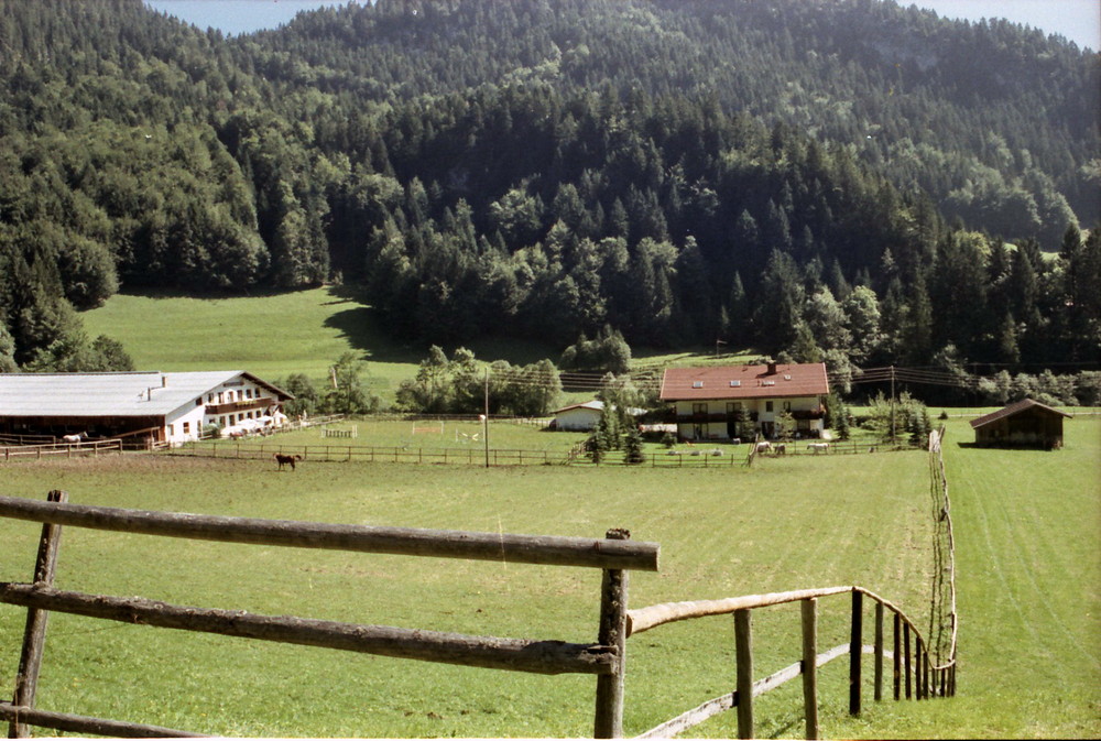Blick vom Berg aus auf unsere Unterkunft in Tiefenbach