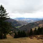 Blick vom Berggasthaus Hasenhorn bei Todtnau