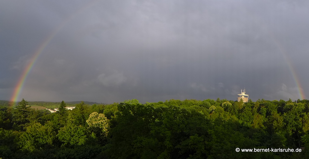 Blick vom Bergwald