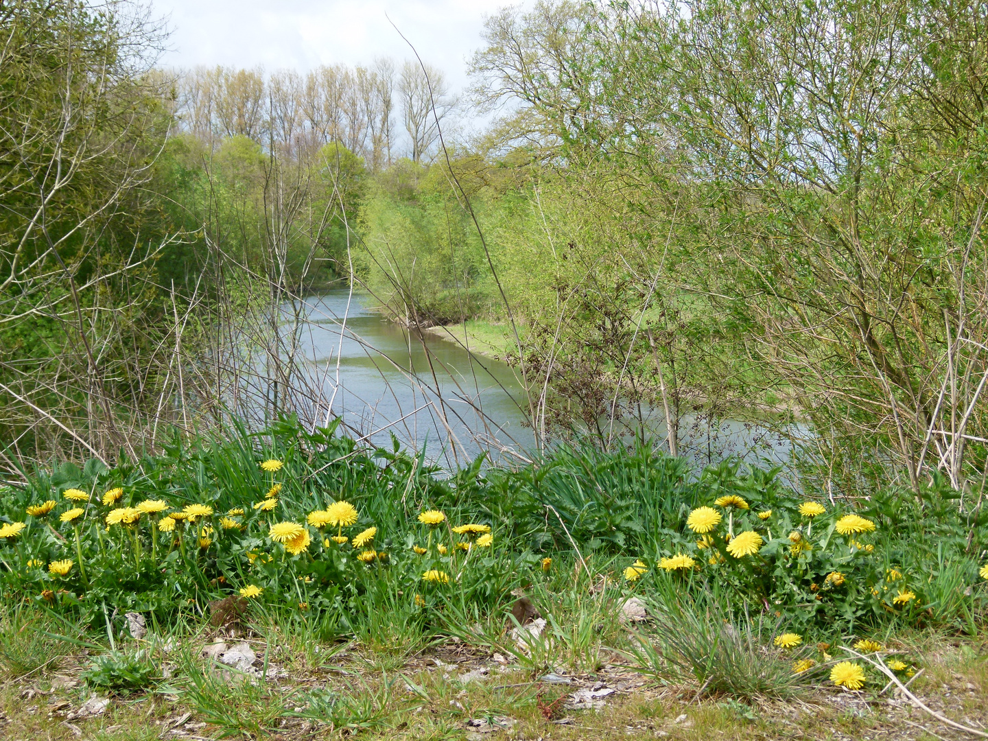 Blick vom Bettenberg auf die Lippe.