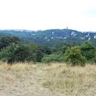 Blick vom Birkenhübel zum Bärenstein (Plauen)