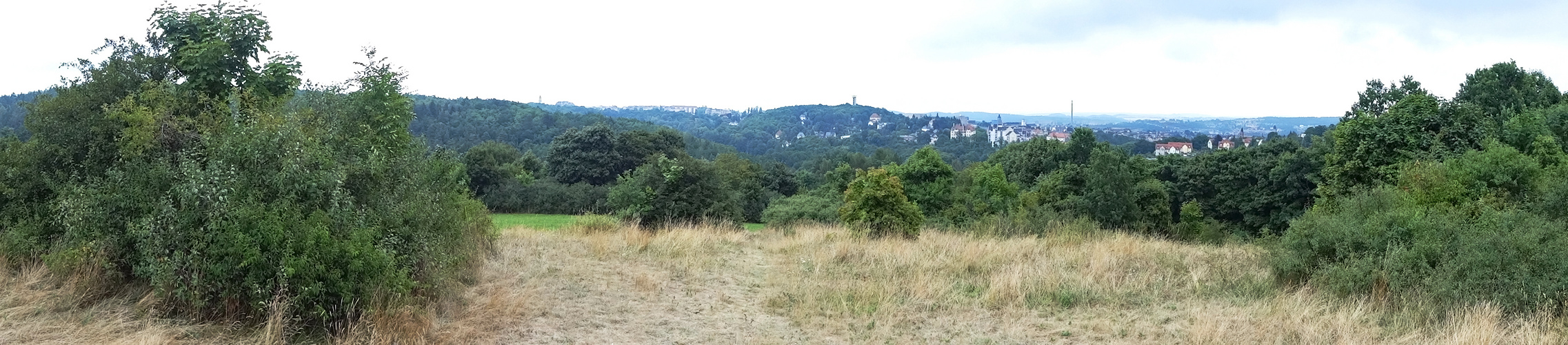 Blick vom Birkenhübel zum Bärenstein (Plauen)