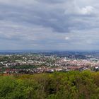 Blick vom Birkenkopf Richtung Osten