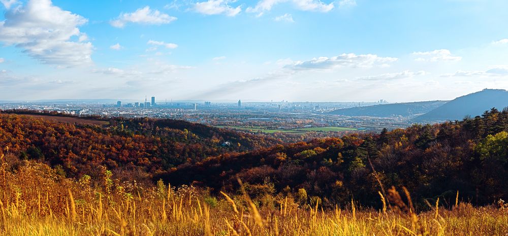 Blick vom Bisamberg nach Wien.