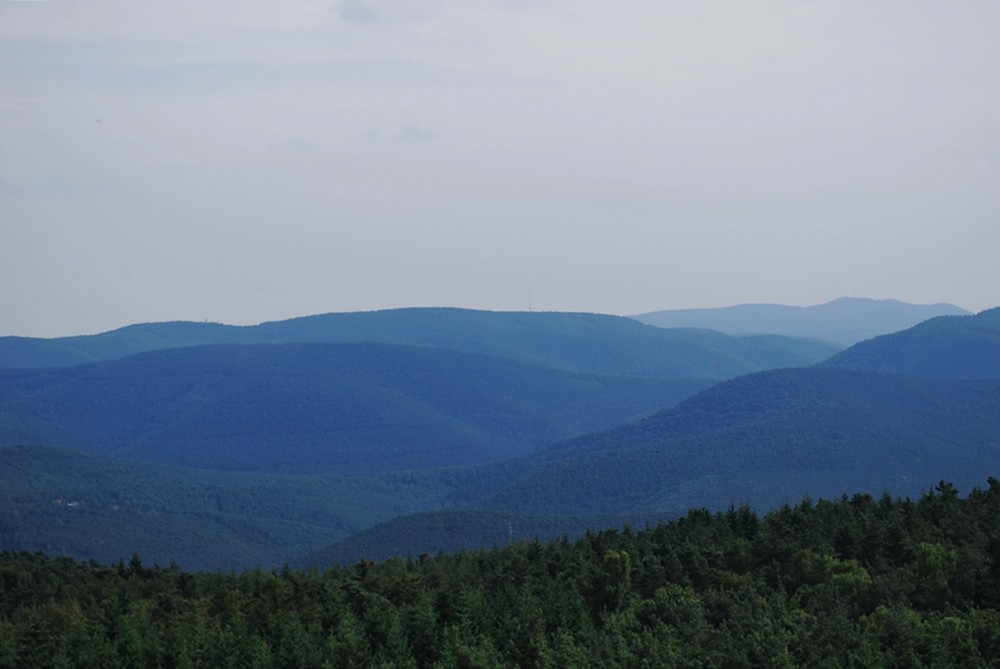 Blick vom Bismarckturm