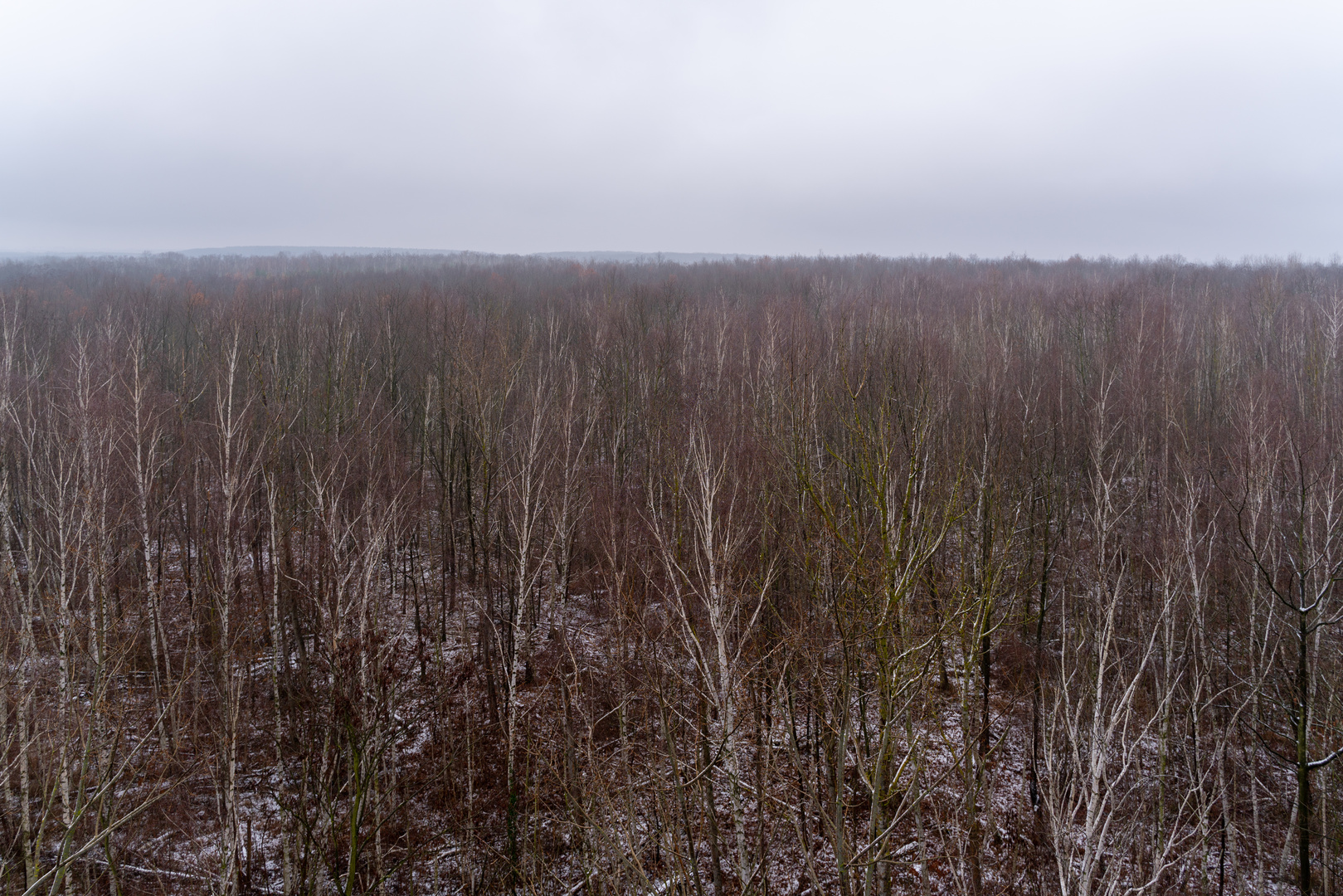 Blick vom Bitterfelder Bogen