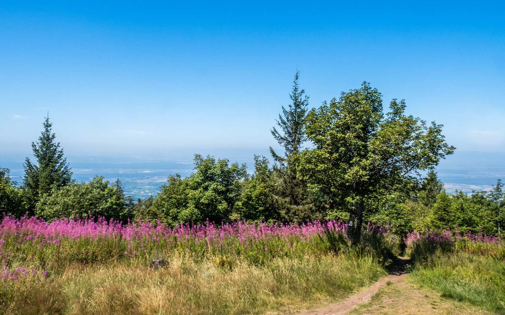 Blick vom Blauen (1165 m, in der Nähe von Badenweiler) auf die Rheinebene