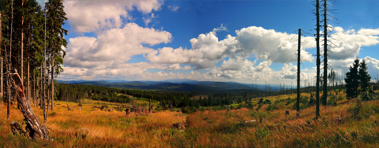 Blick vom Böhmerwald bei Bucina in den Bayerischen Wald