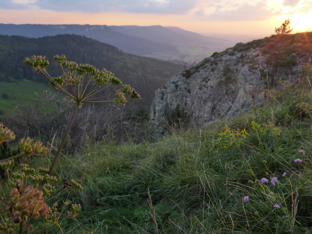 Blick vom Böllat