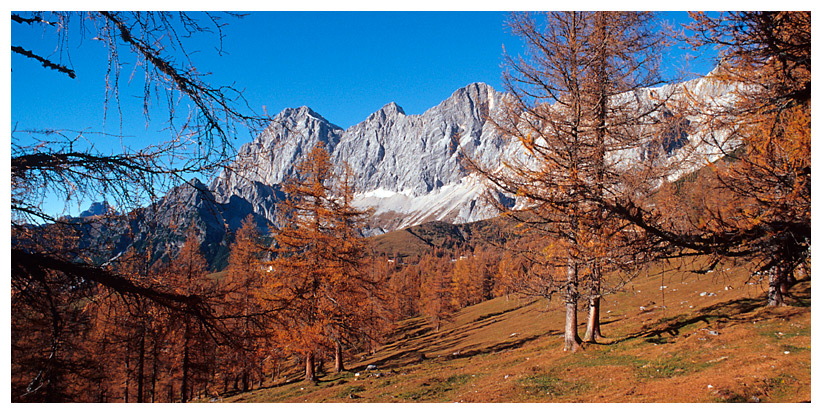 Blick vom "Brandriedl"