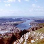 Blick vom Braunsberg auf die Donau und die Stadt Hainburg in Richtung Wien.