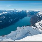 Blick vom Brienzer Rothorn, auf den Brienzersee