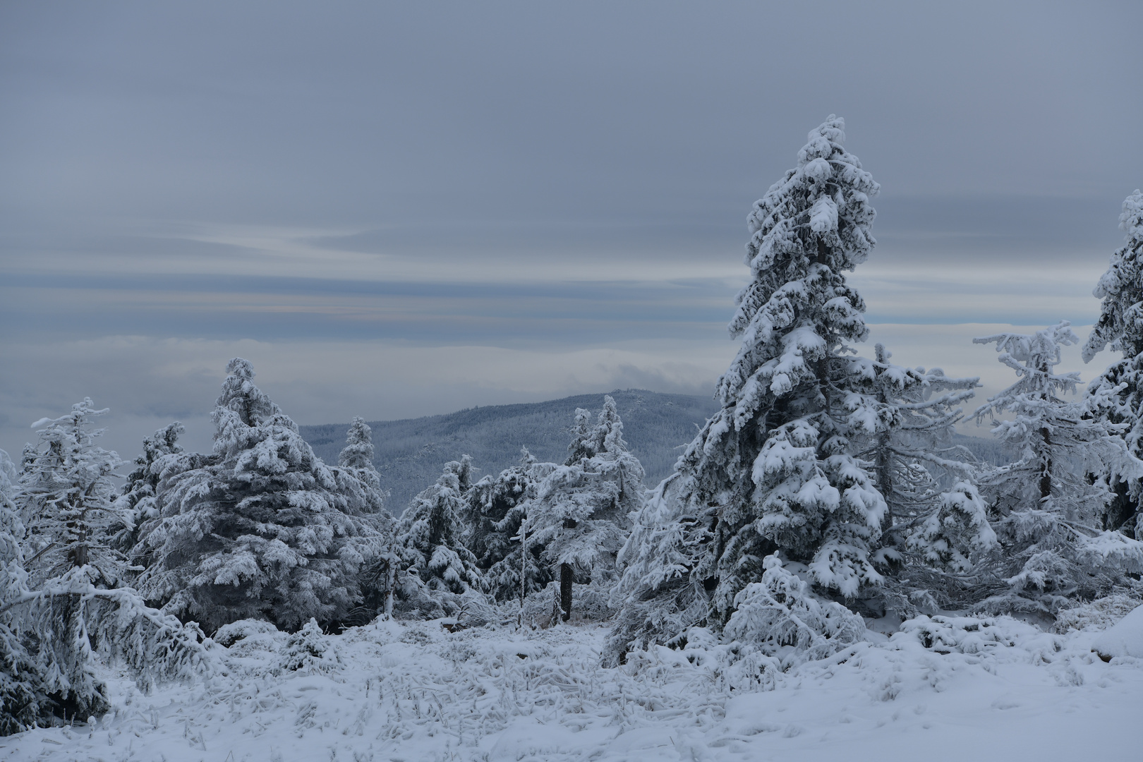 Blick vom Brocken