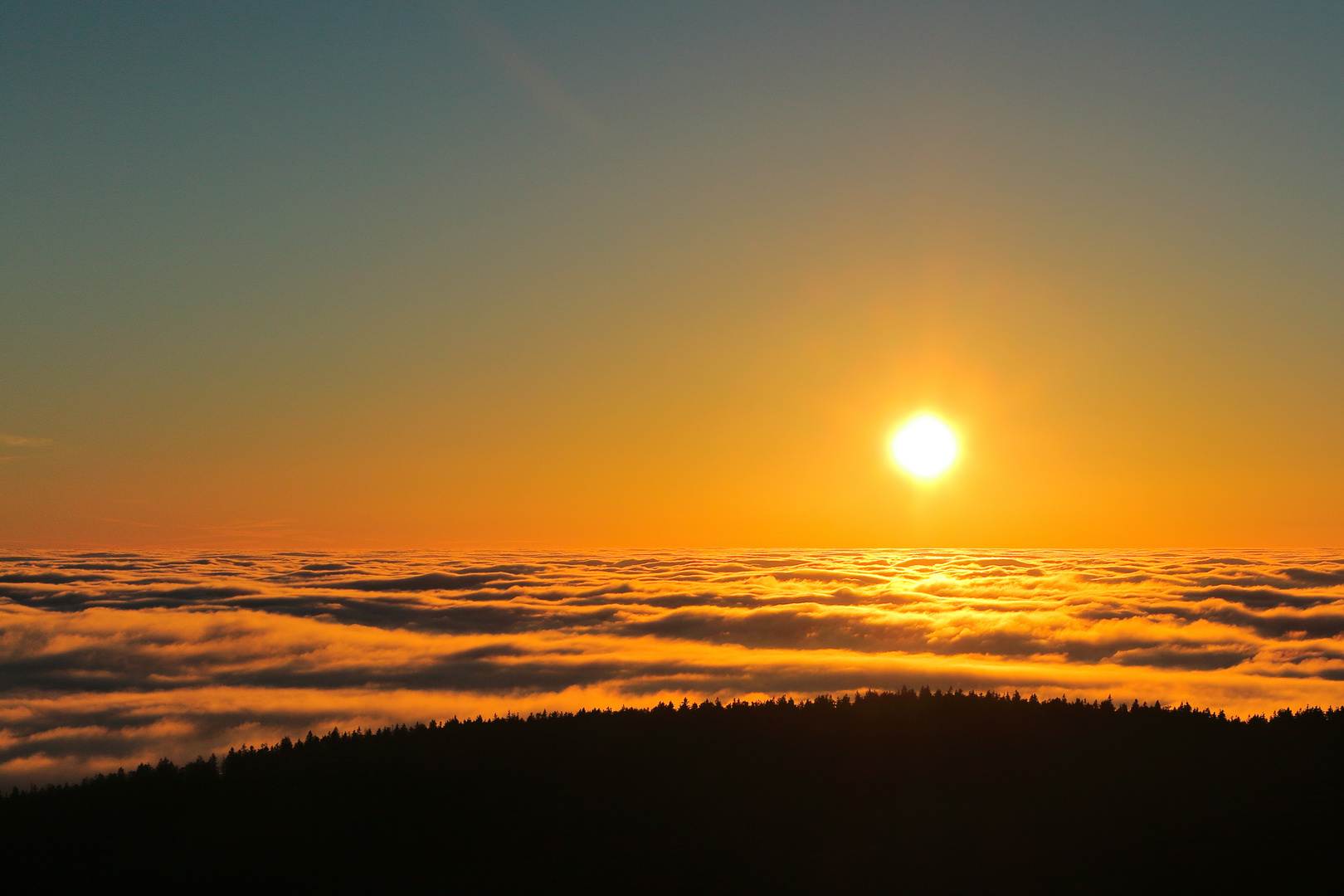 Blick vom Brocken