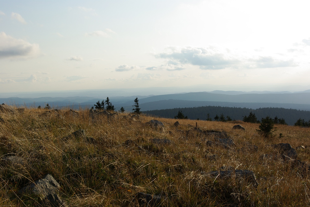 Blick vom Brocken über den Harz