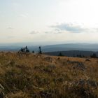 Blick vom Brocken über den Harz