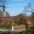 Blick vom Buchenbergwald