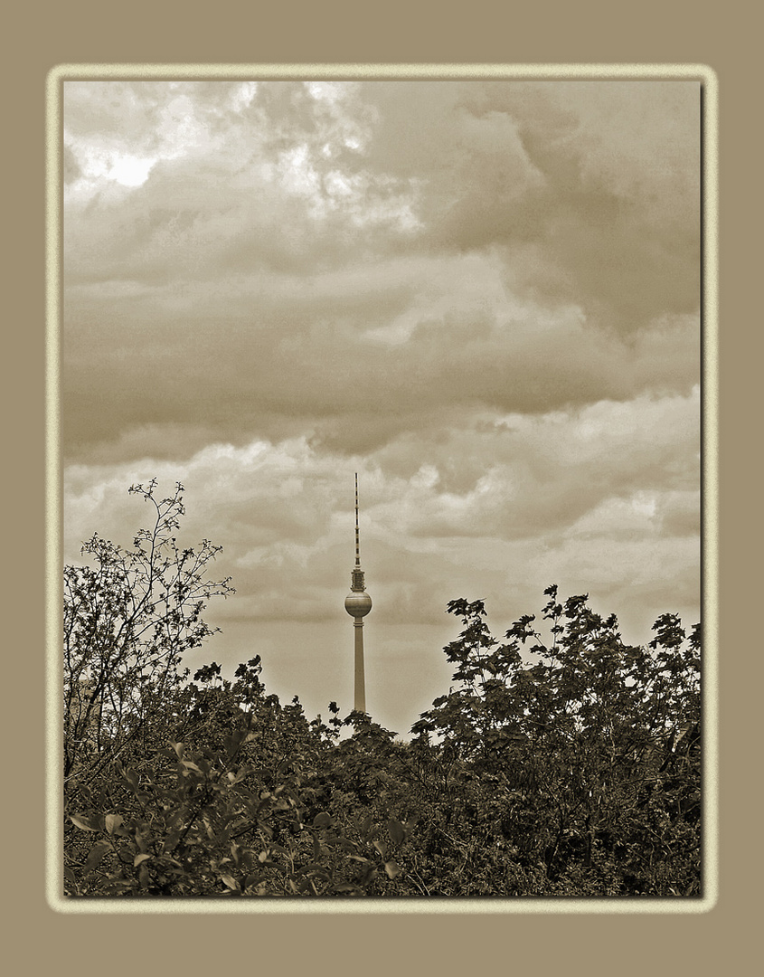 Blick vom Bunkerberg auf den Berliner Fernsehturm