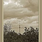 Blick vom Bunkerberg auf den Berliner Fernsehturm