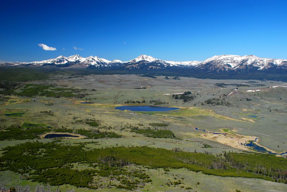 Blick vom Bunsen Peak, Yellowstone NP