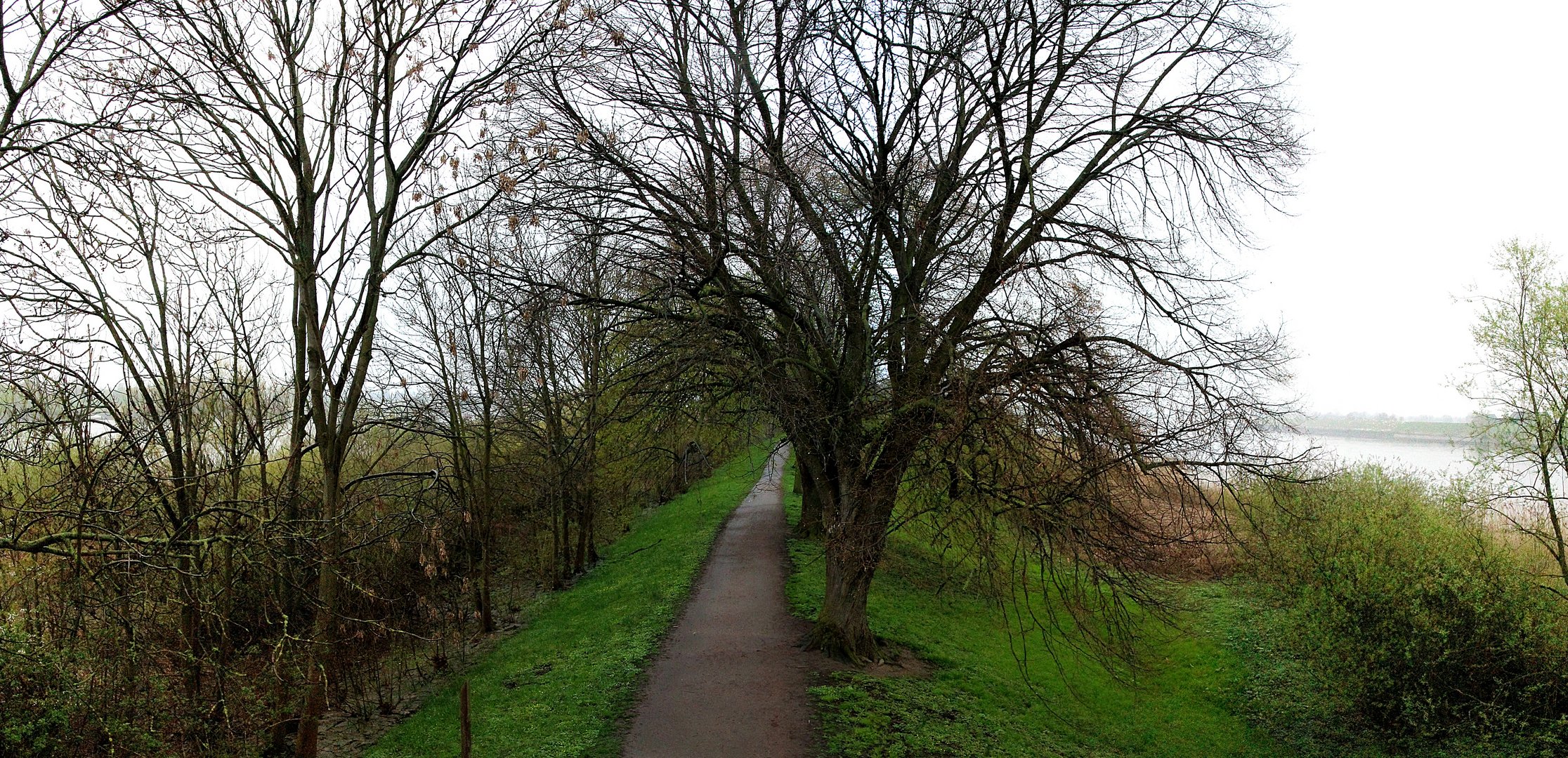 Blick vom Bunthäuser Leuchtturm