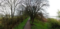 Blick vom Bunthäuser Leuchtturm