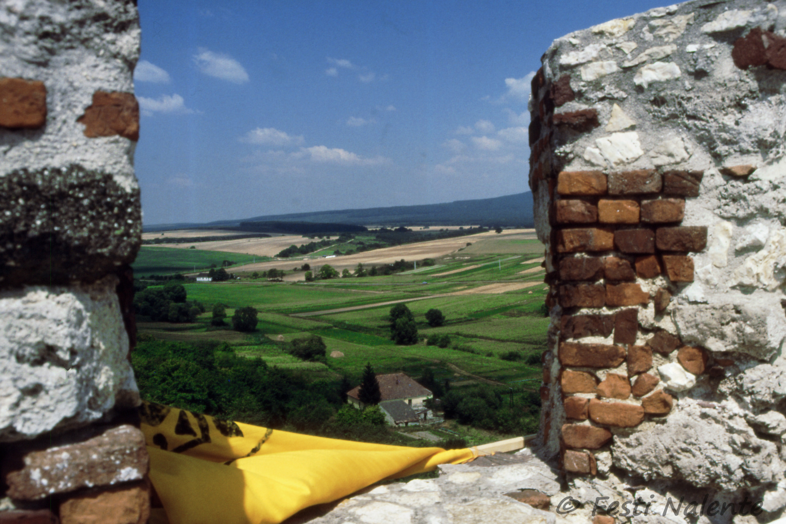 Blick vom Burgturm