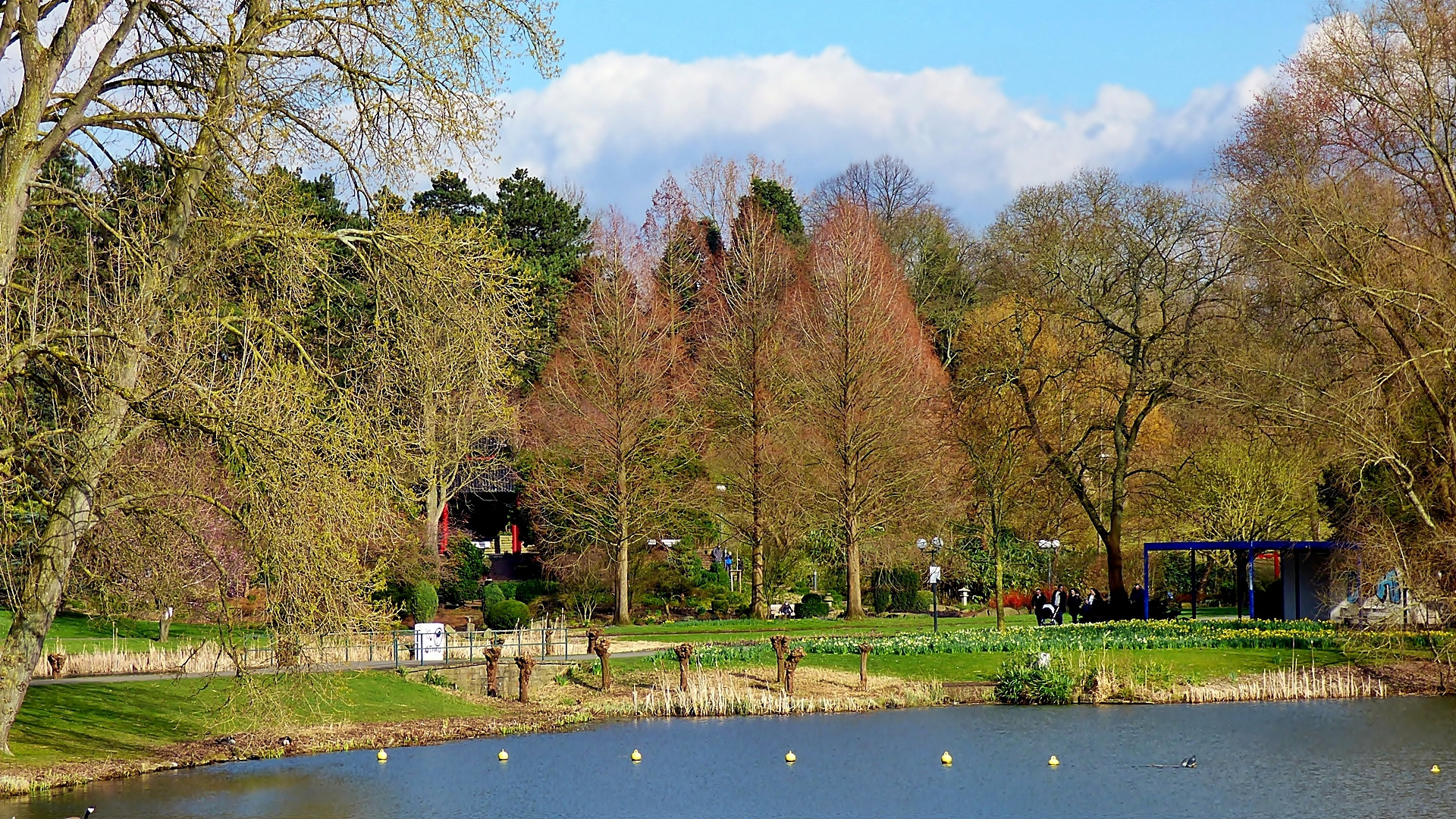 Blick vom Buschmühlenteich . . .